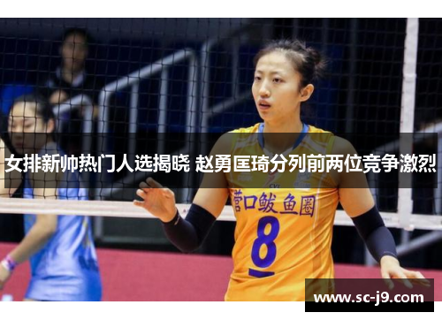 女排新帅热门人选揭晓 赵勇匡琦分列前两位竞争激烈