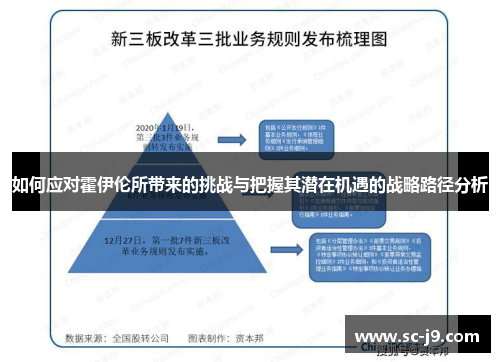 如何应对霍伊伦所带来的挑战与把握其潜在机遇的战略路径分析