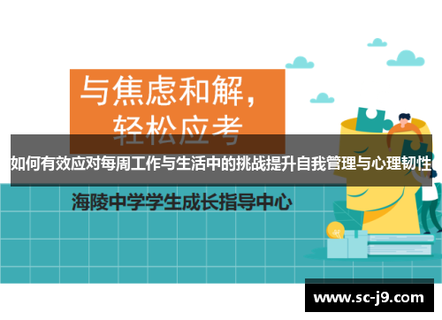 如何有效应对每周工作与生活中的挑战提升自我管理与心理韧性