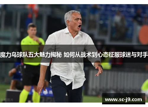 魔力鸟球队五大魅力揭秘 如何从战术到心态征服球迷与对手